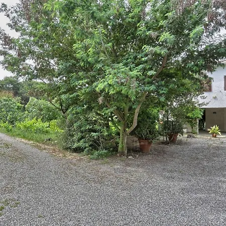 Casa Le Mimose App. Nr. 1 Capoliveri (Isola d'Elba)